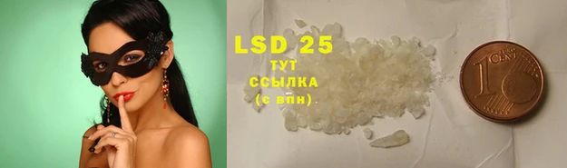 шишки Алзамай