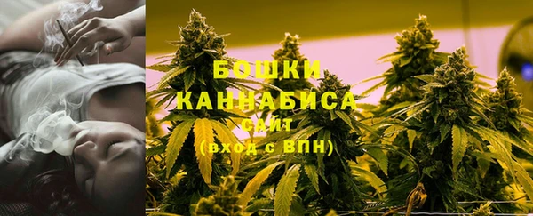 шишки Алзамай