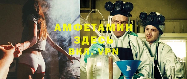 шишки Алзамай