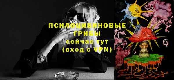 хмурый Алексеевка
