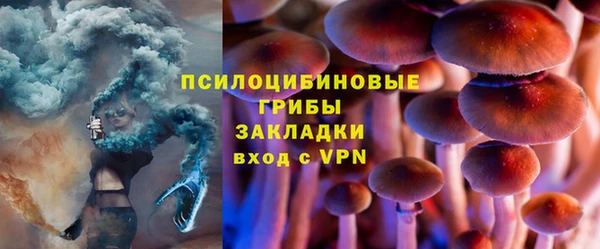 хмурый Алексеевка