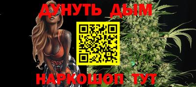стафф Дубна