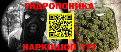 PSILOCYBIN Туймазы