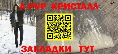 стафф Дубна