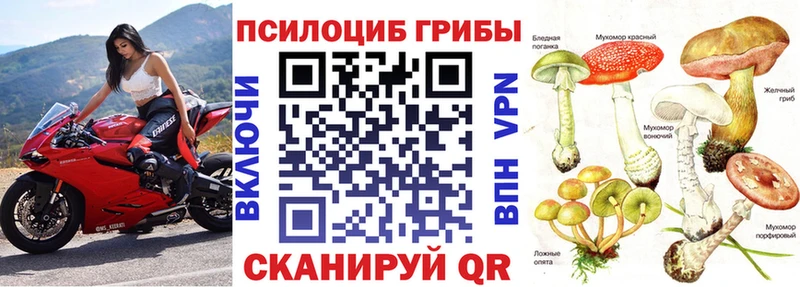 Галлюциногенные грибы мухоморы  где купить наркотик  Минусинск 